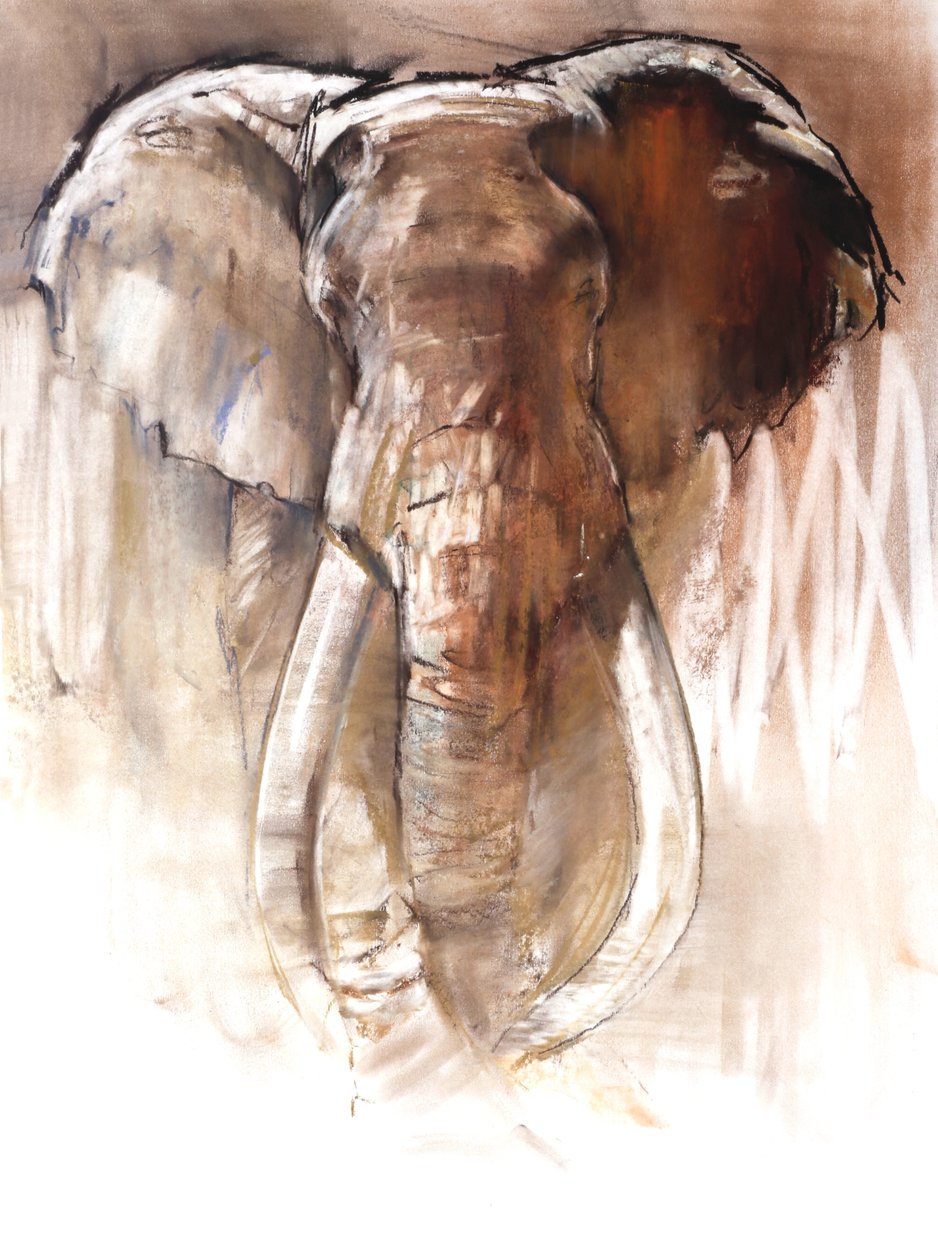 Bull Elephant, 2018 af Mark Adlington