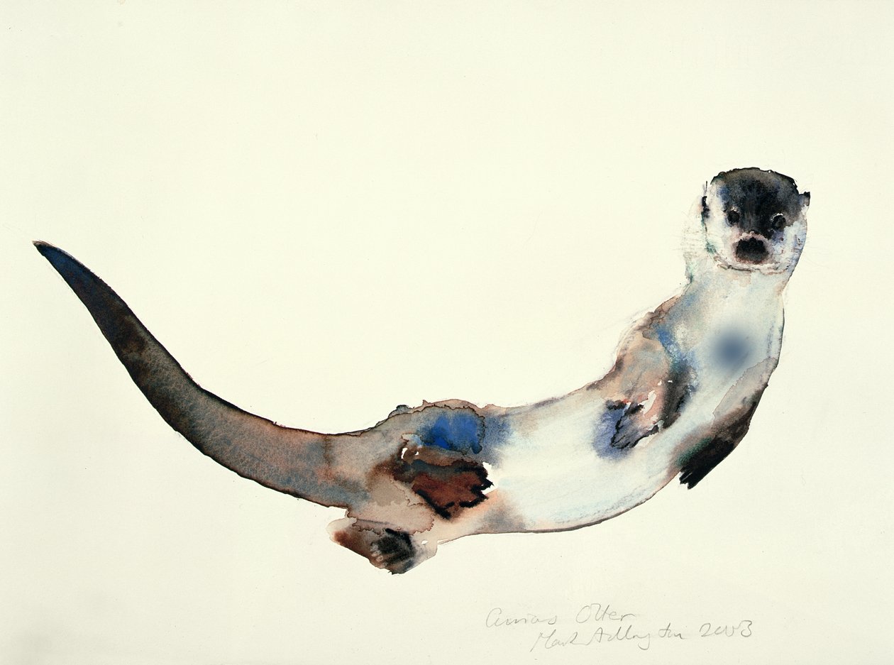 Nysgerrig Otter, 2003 af Mark Adlington