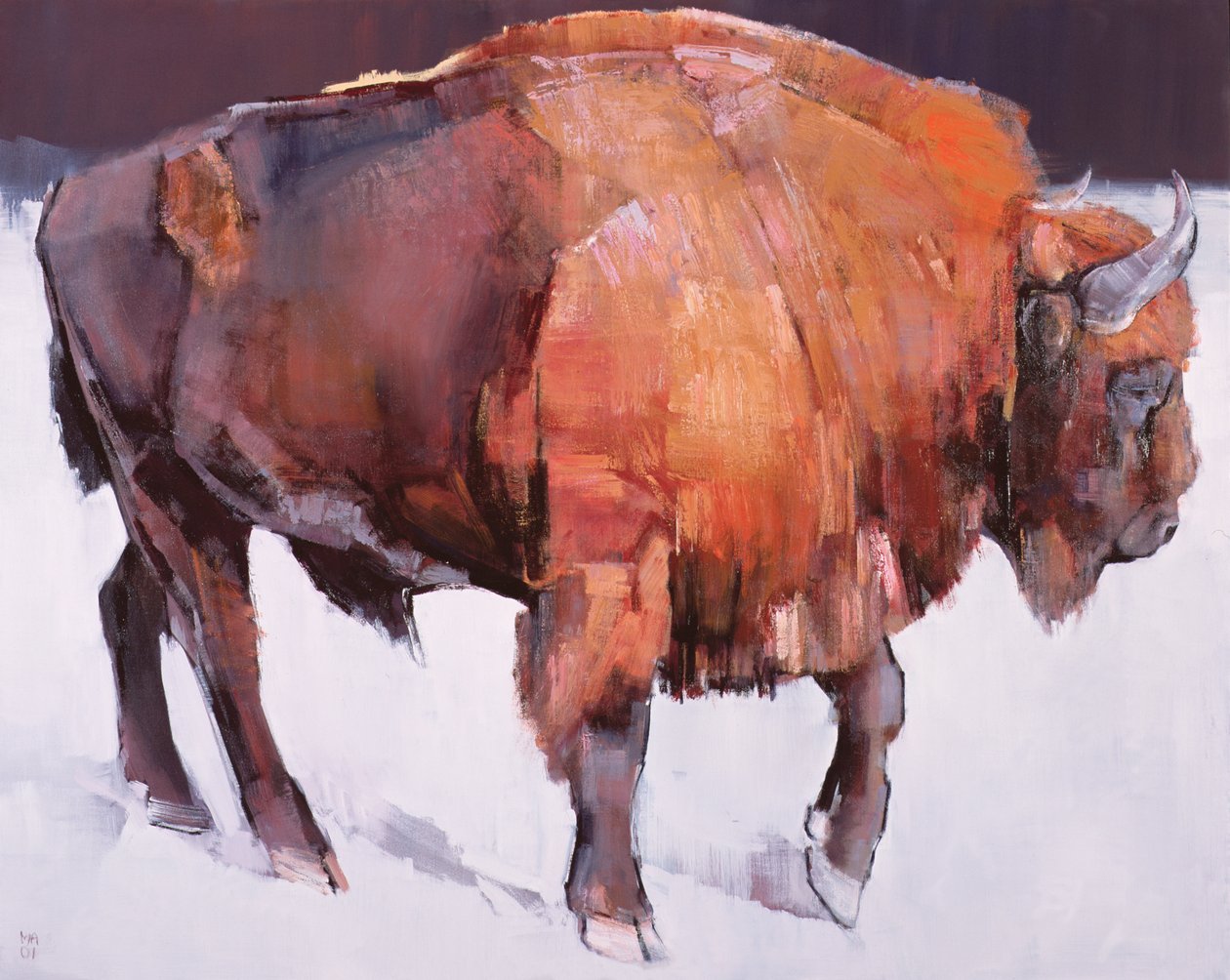 europæisk bison af Mark Adlington