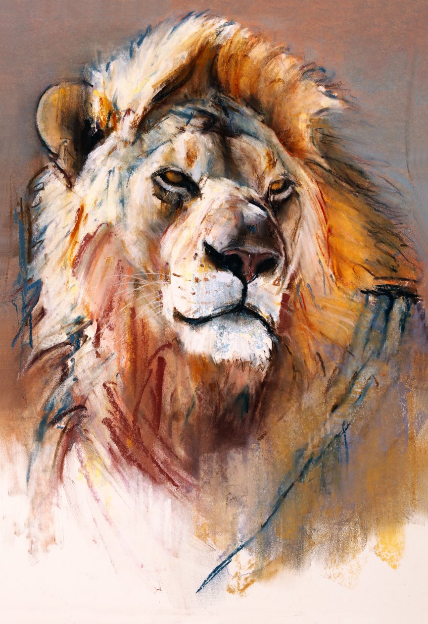 Gemsbok Lion, 2020 af Mark Adlington