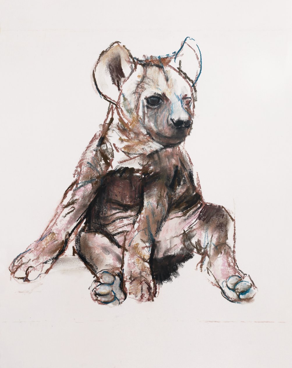 Hyaena Pup (sidder op), 2019 af Mark Adlington
