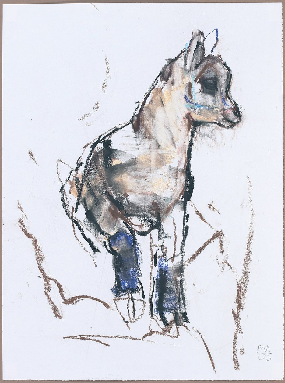 Ibex Kid (trækul og conte på papir) af Mark Adlington