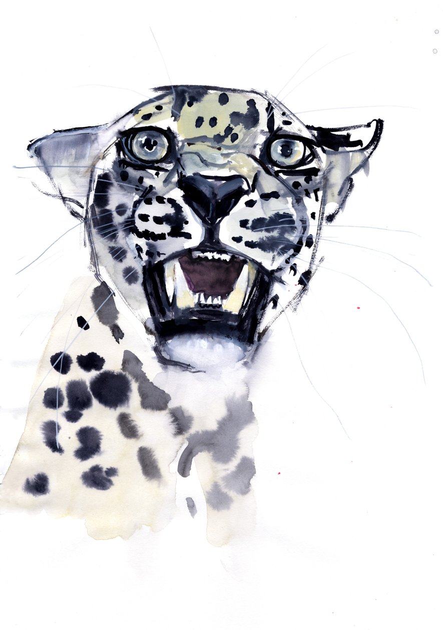 Incisor Snarl (arabisk leopard), 2008 af Mark Adlington