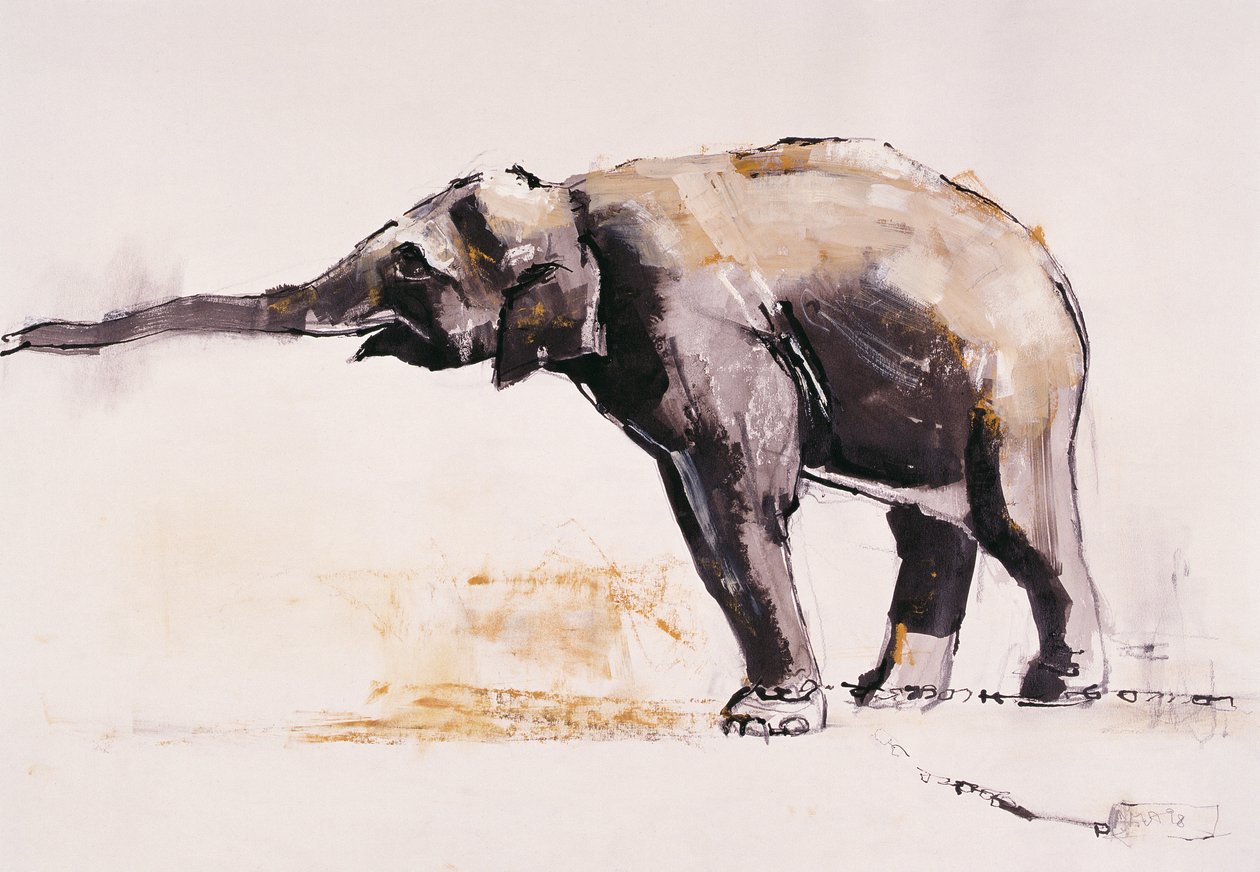 Indisk elefant, Khana (blandet medie på papir) af Mark Adlington