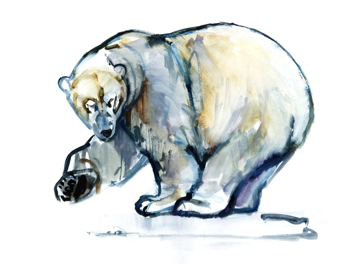 Isbjørn,2013,(akvarel og gouache på papir) af Mark Adlington