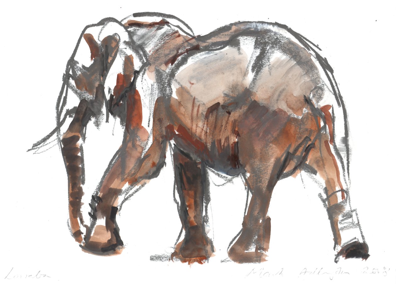 Loisaba conservancy, 2018 af Mark Adlington