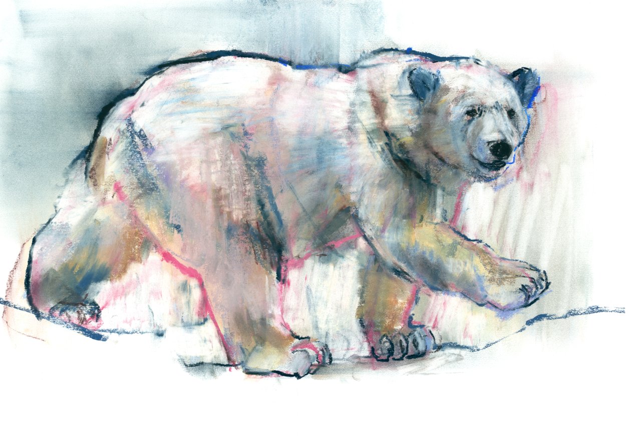 Pink, 2016, (conté og pastel på papir) af Mark Adlington