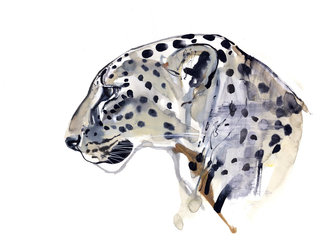 Profil (arabisk leopard), 2008 af Mark Adlington