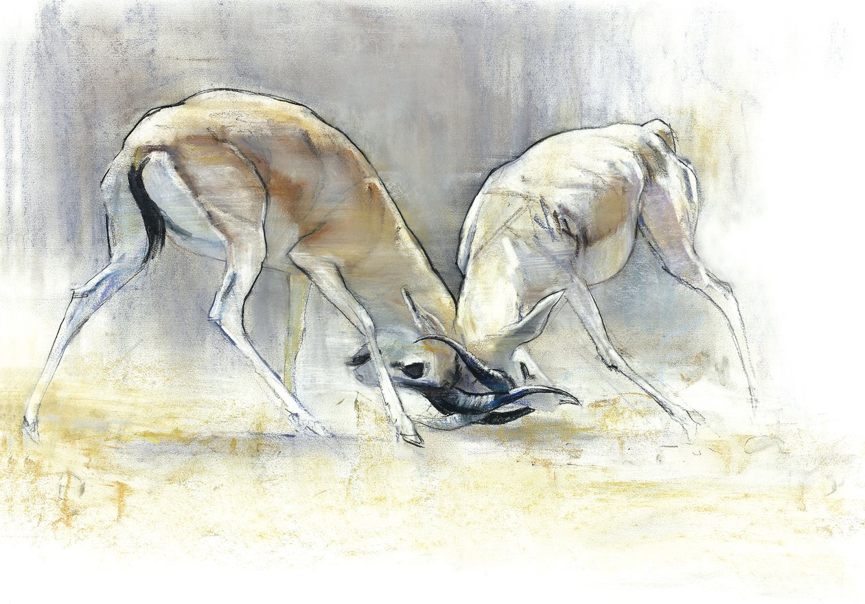 Sand Gazelles, 2009 (conte & kul på papir) af Mark Adlington