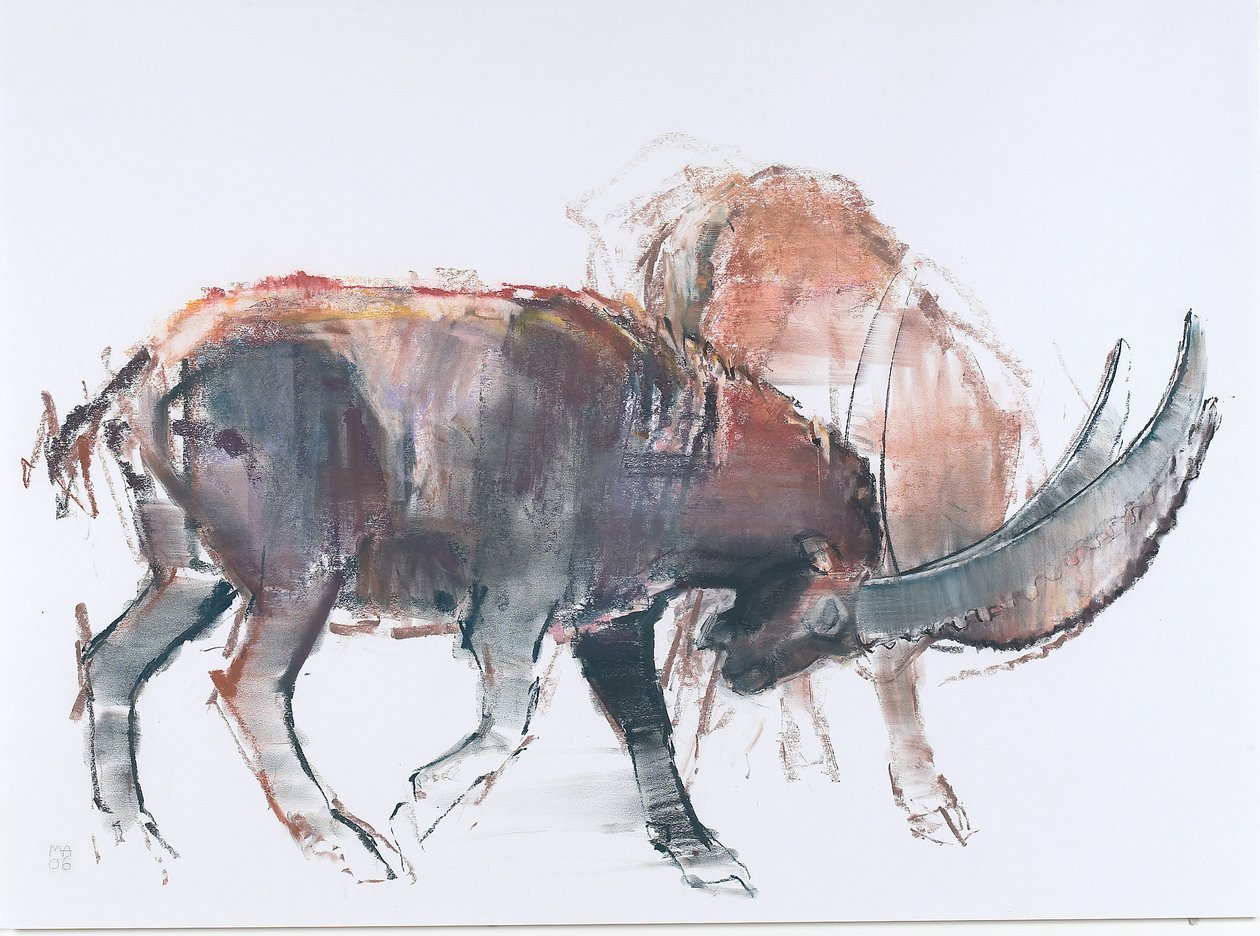 Scimitar, 2006 (charcoal und conte på papir) af Mark Adlington