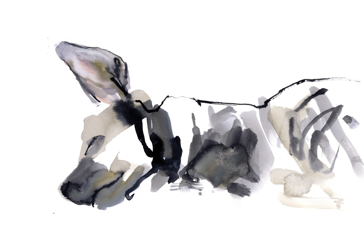 Sleeping Hyaena, 2010, (akvarel på papir) af Mark Adlington