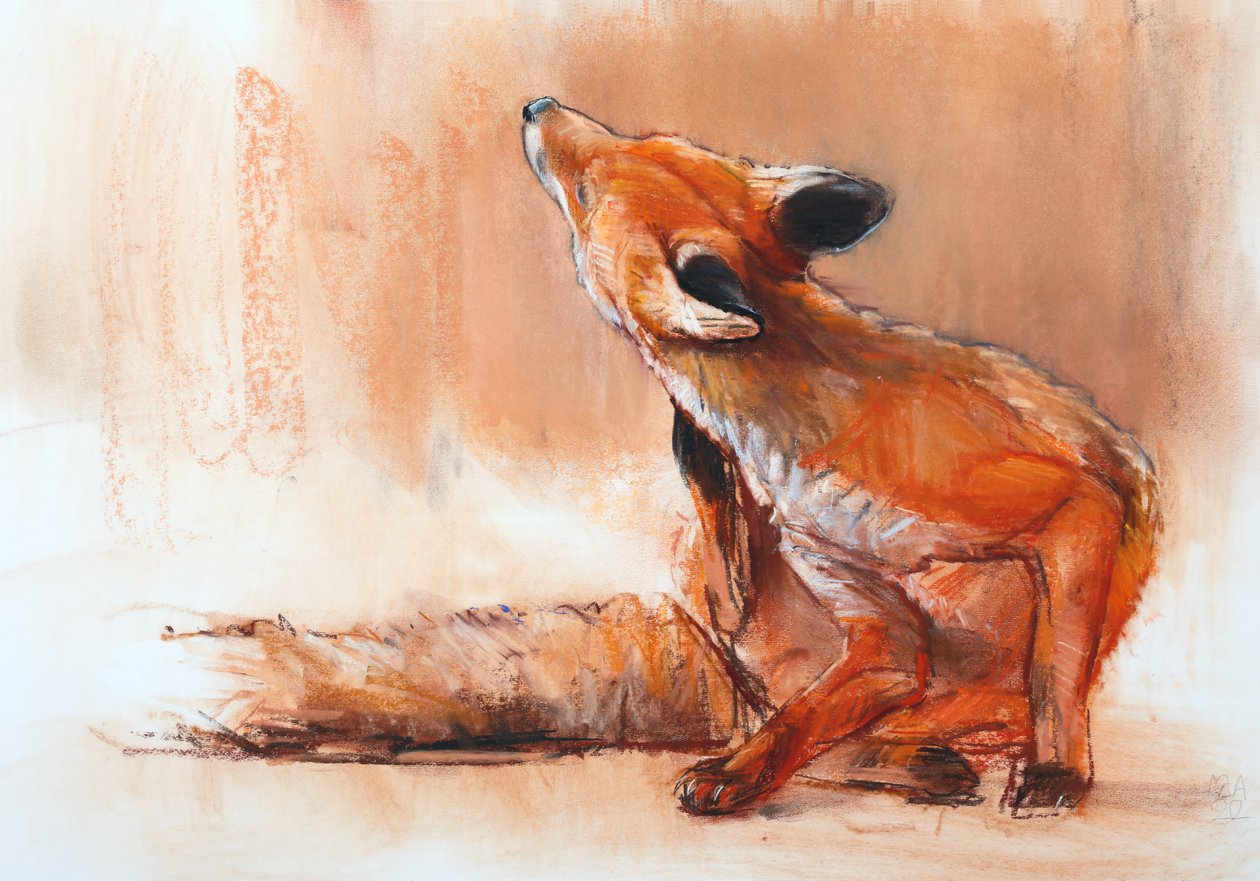 Spring Vixen, 2022 af Mark Adlington