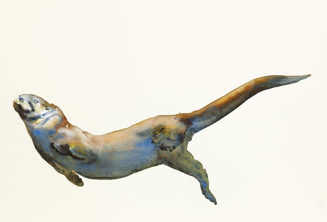 Velvet, 2014, (akvarel på papir) af Mark Adlington