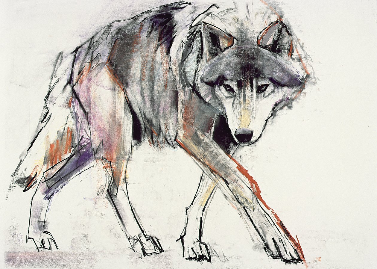 Wolf (blandet medier på papir) af Mark Adlington