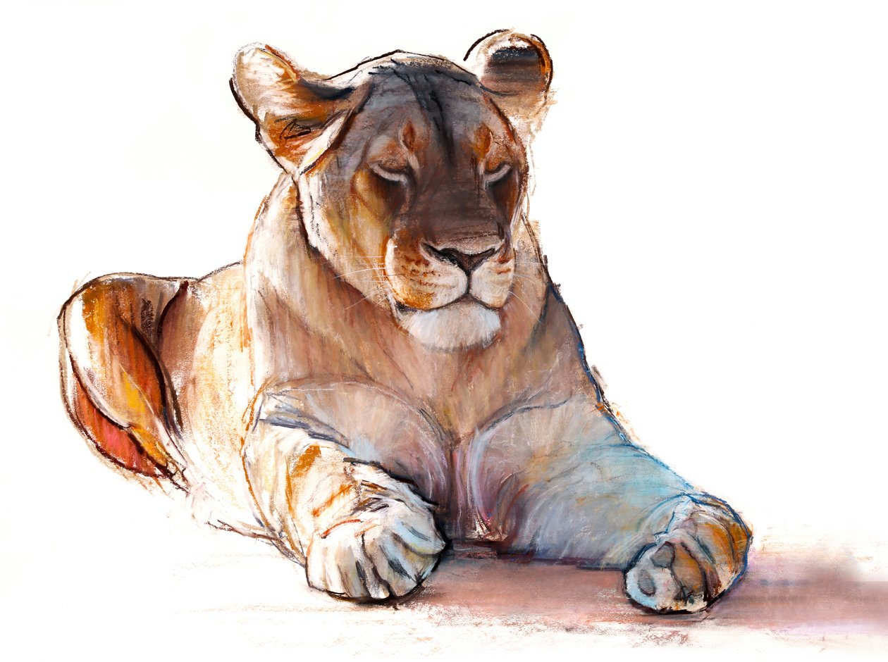 Yogi Lioness, 2019 af Mark Adlington