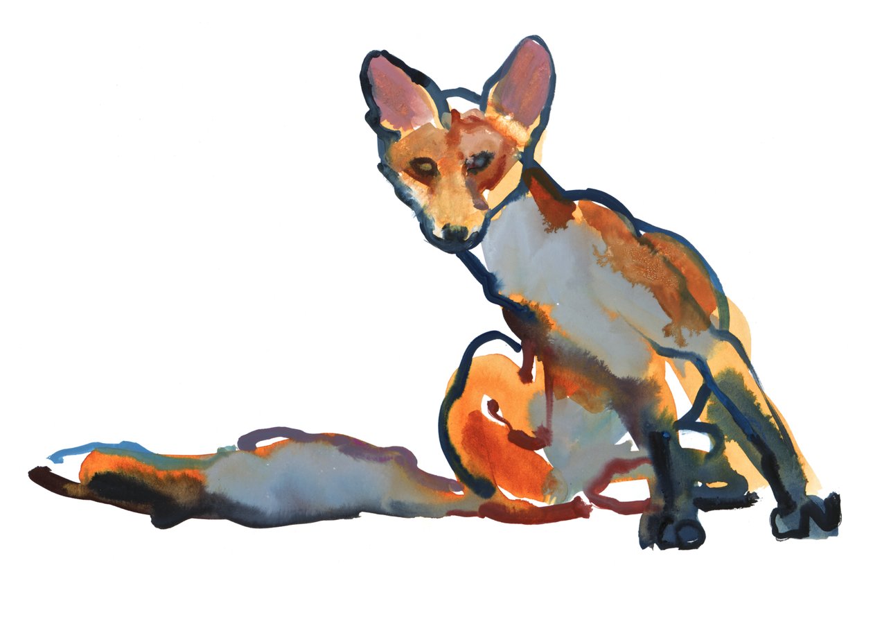 Young Vixen Grooming, 2021 af Mark Adlington
