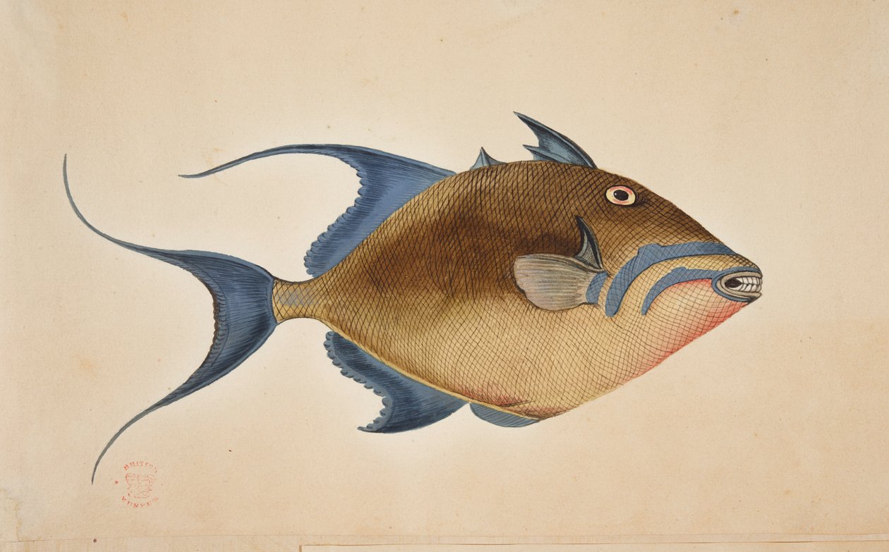 En fisk. af Mark Catesby