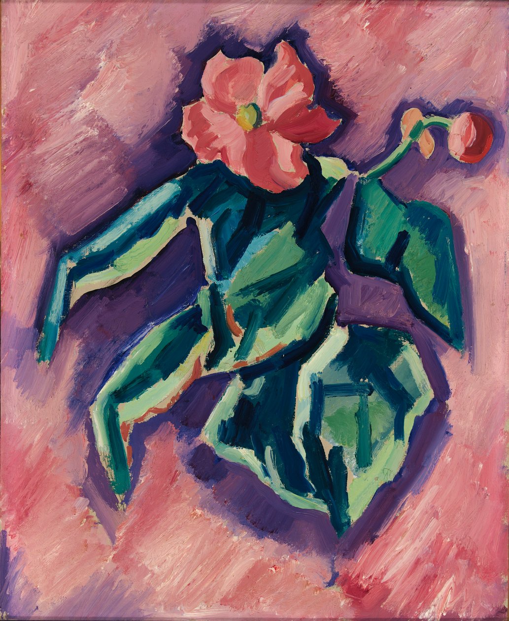 Pink Begonia, 1928-1929. af Marsden Hartley