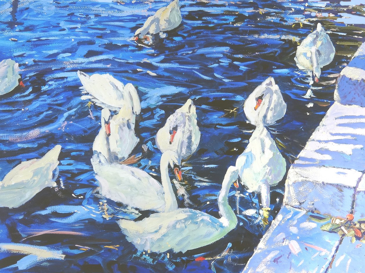 Swans, 2000 (gouache ombord) af Martin Decent