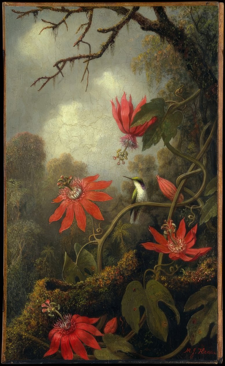 Kolibri og passionsblomster af Martin Johnson Heade
