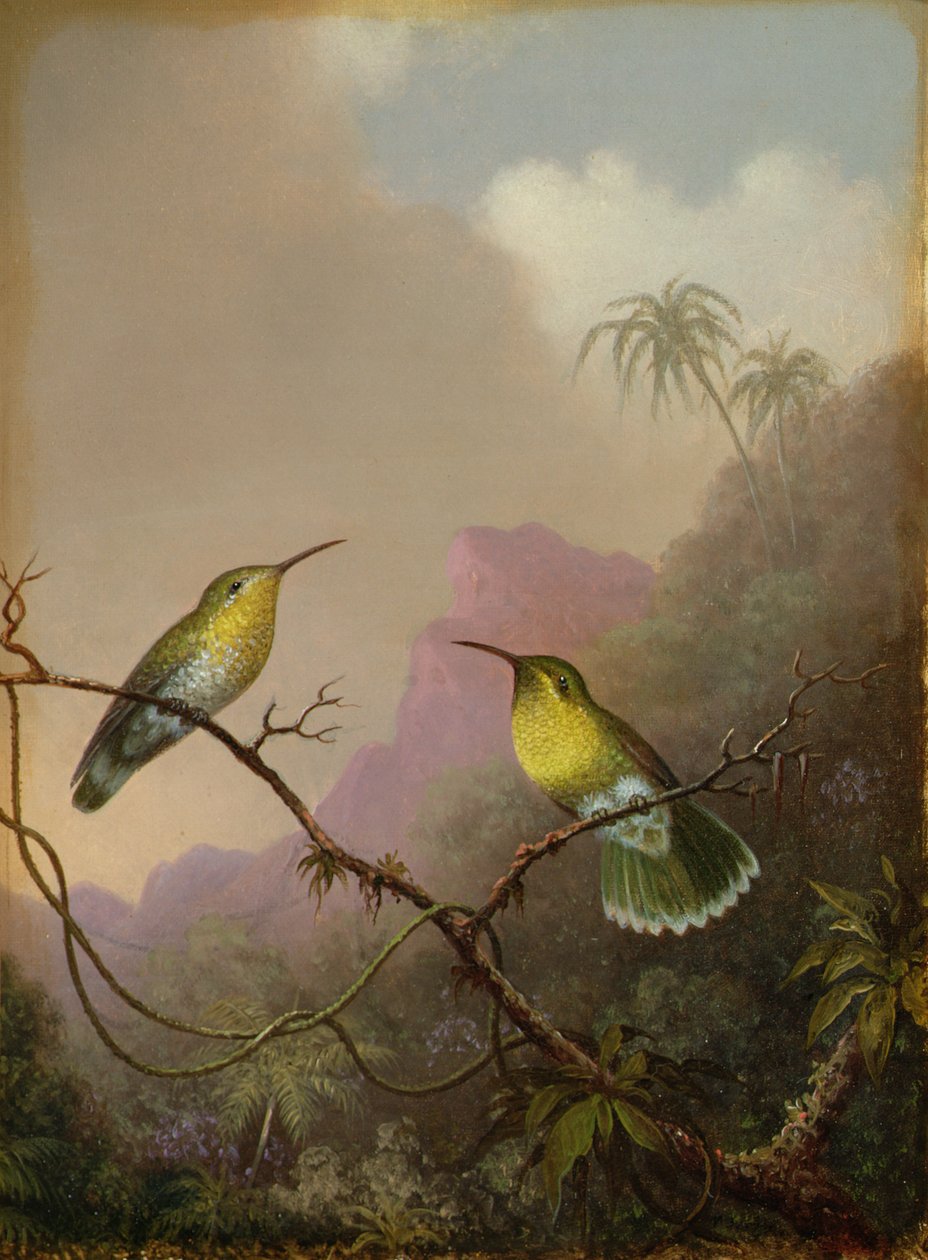 To kolibrier, ca. 1865-75 af Martin Johnson Heade