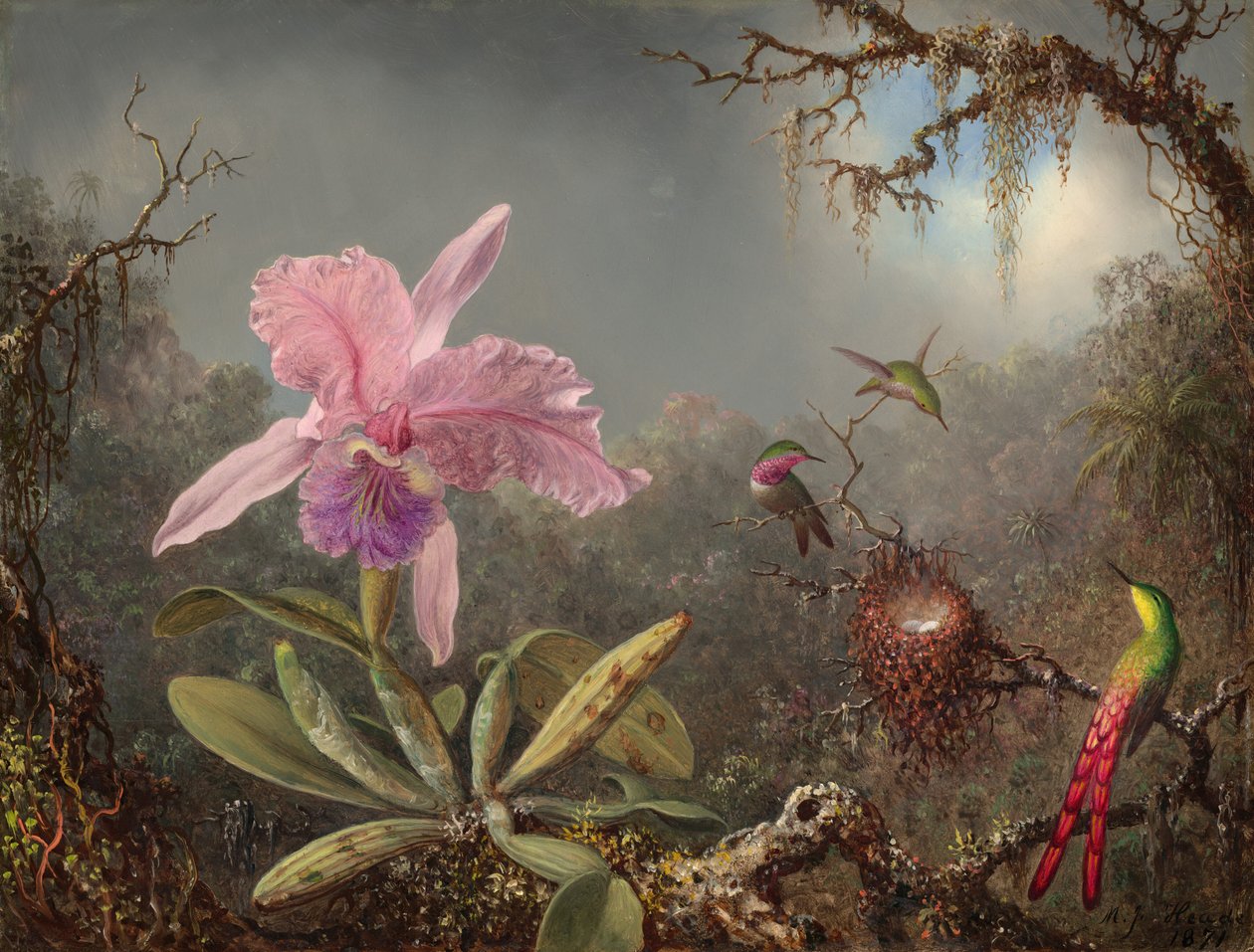Cattleya orkidé og tre kolibrier af Martin Johnson Heade