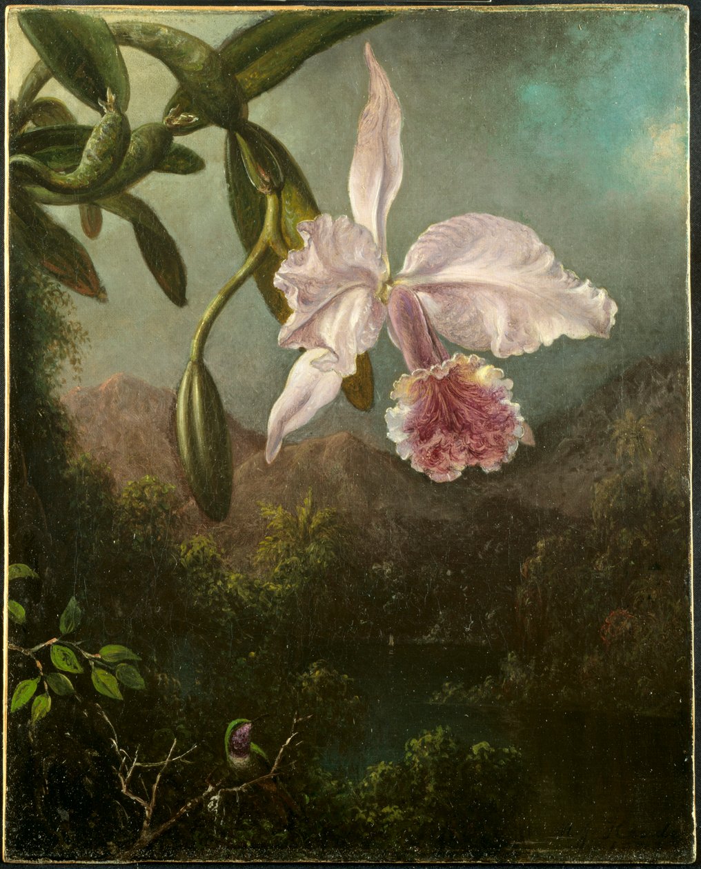 Orkidéblomster, 1873. af Martin Johnson Heade