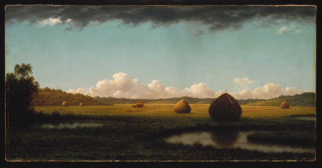 Sommerens byger af Martin Johnson Heade