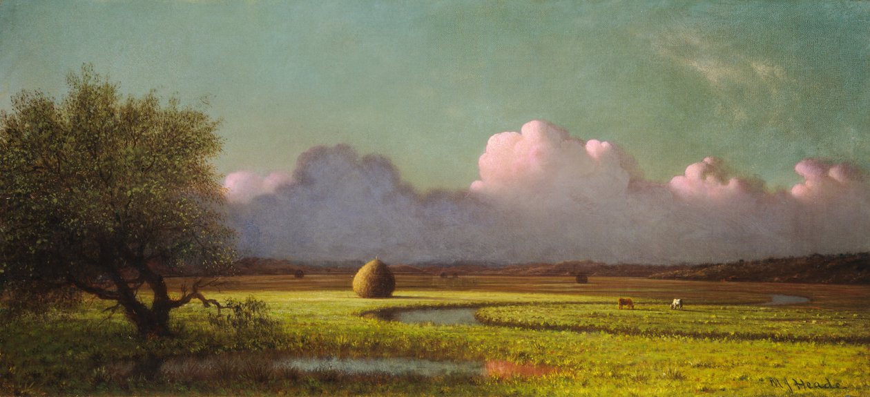 Sunlight and Shadow: The Newbury Marshes af Martin Johnson Heade
