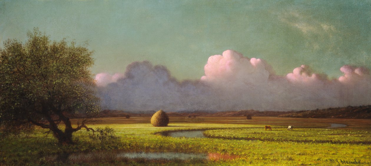 Sollys og skygge: Newbury Marshes af Martin Johnson Heade