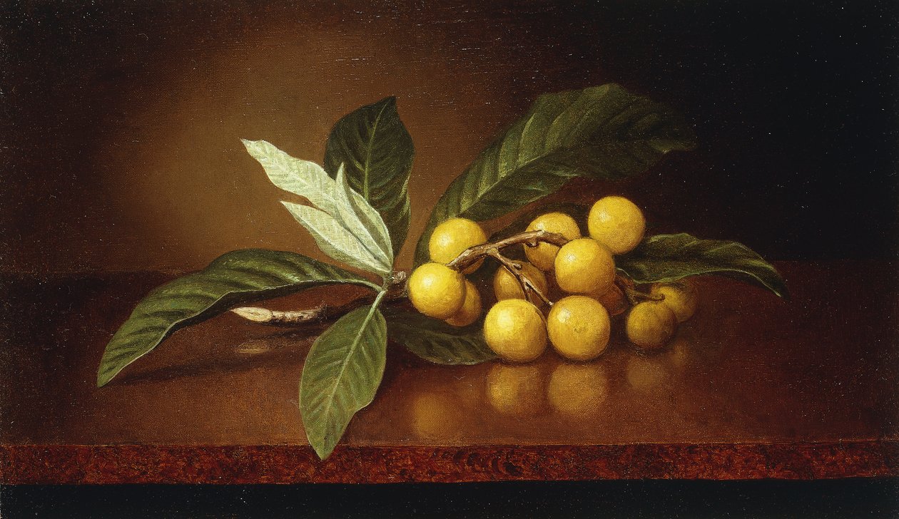Tropiske blommer, af Martin Johnson Heade