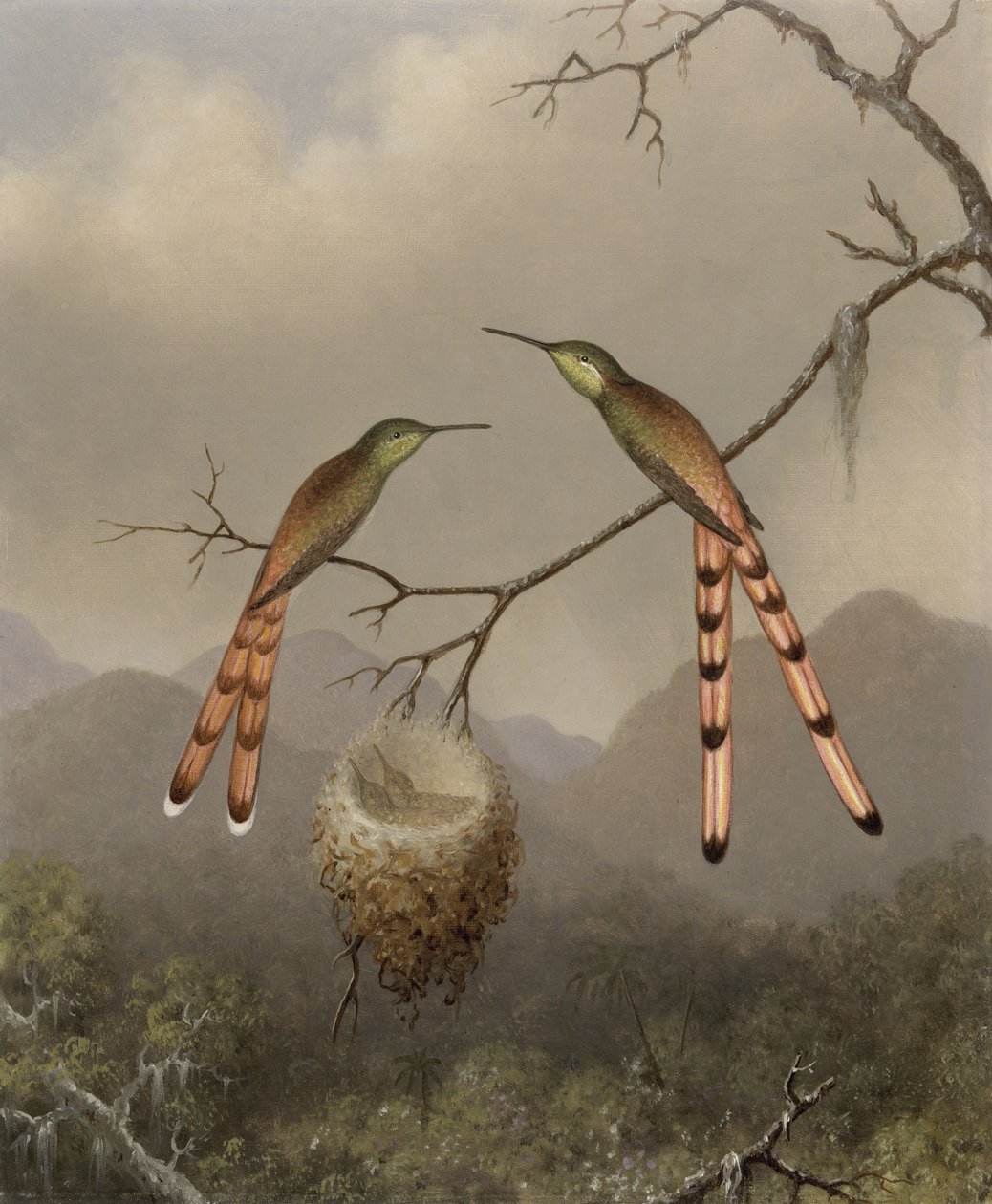 To kolibrier med deres unger, ca. 1865 af Martin Johnson Heade