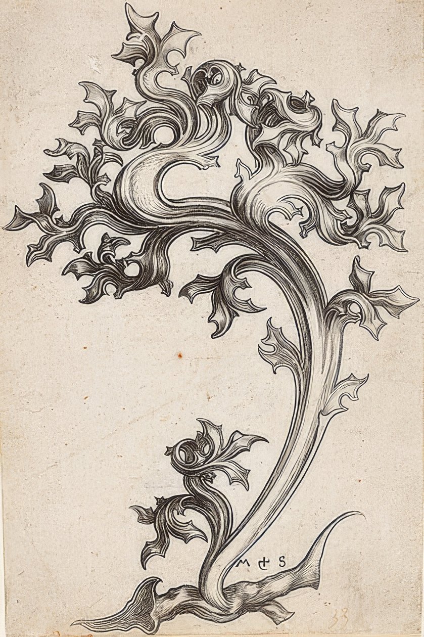 Bladpynt fra en tidsel af Martin Schongauer