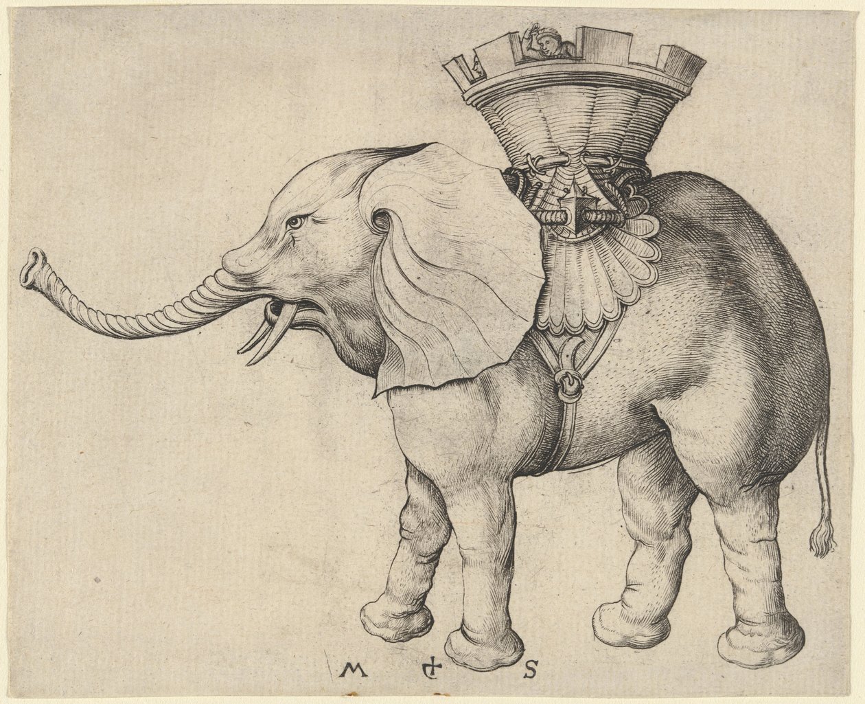 Elefant af Martin Schongauer