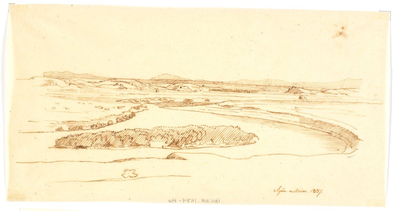 Aqua sorrel af Martinus Rørbye