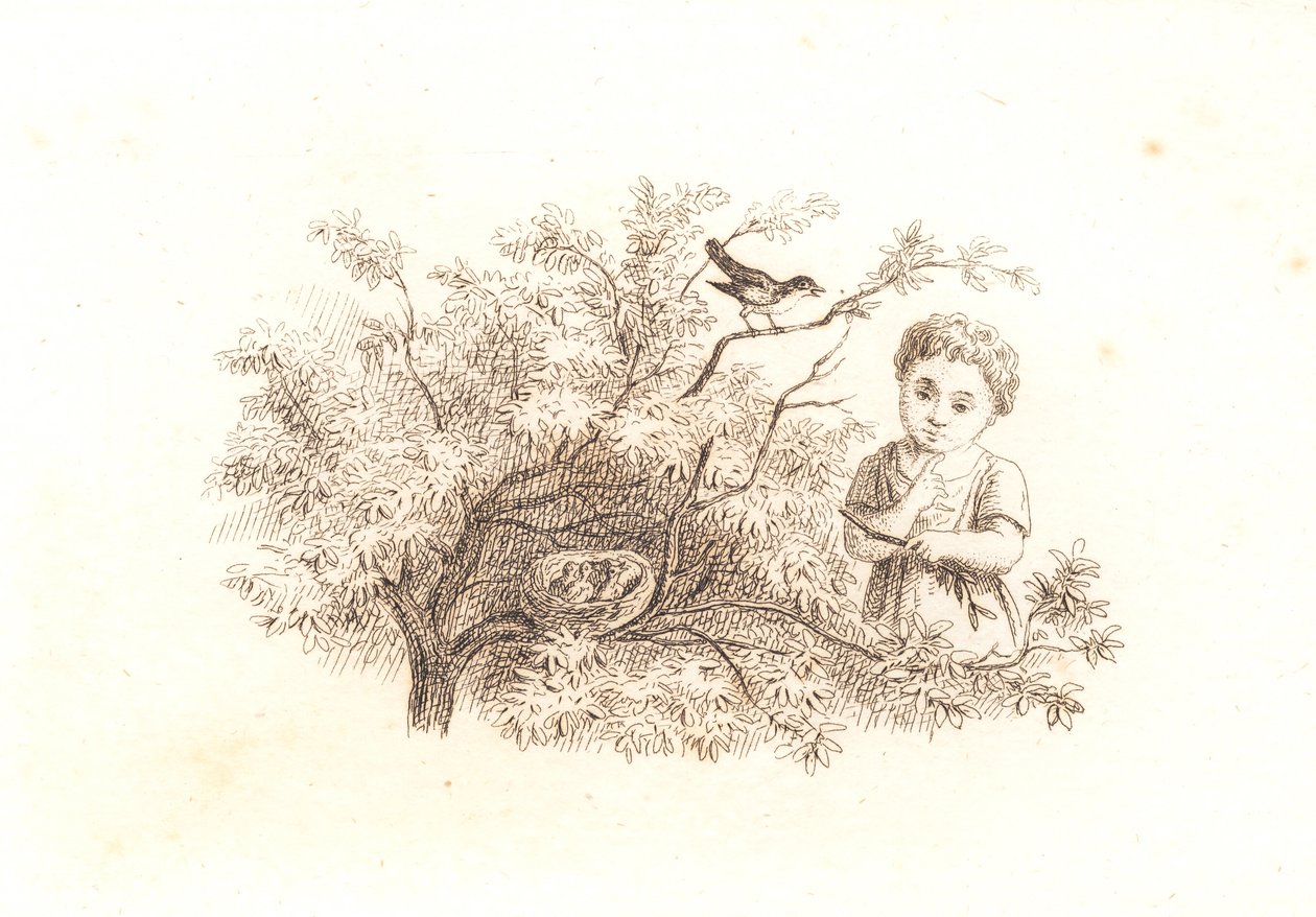 Regnskaber 1846-48 af Martinus Rørbye