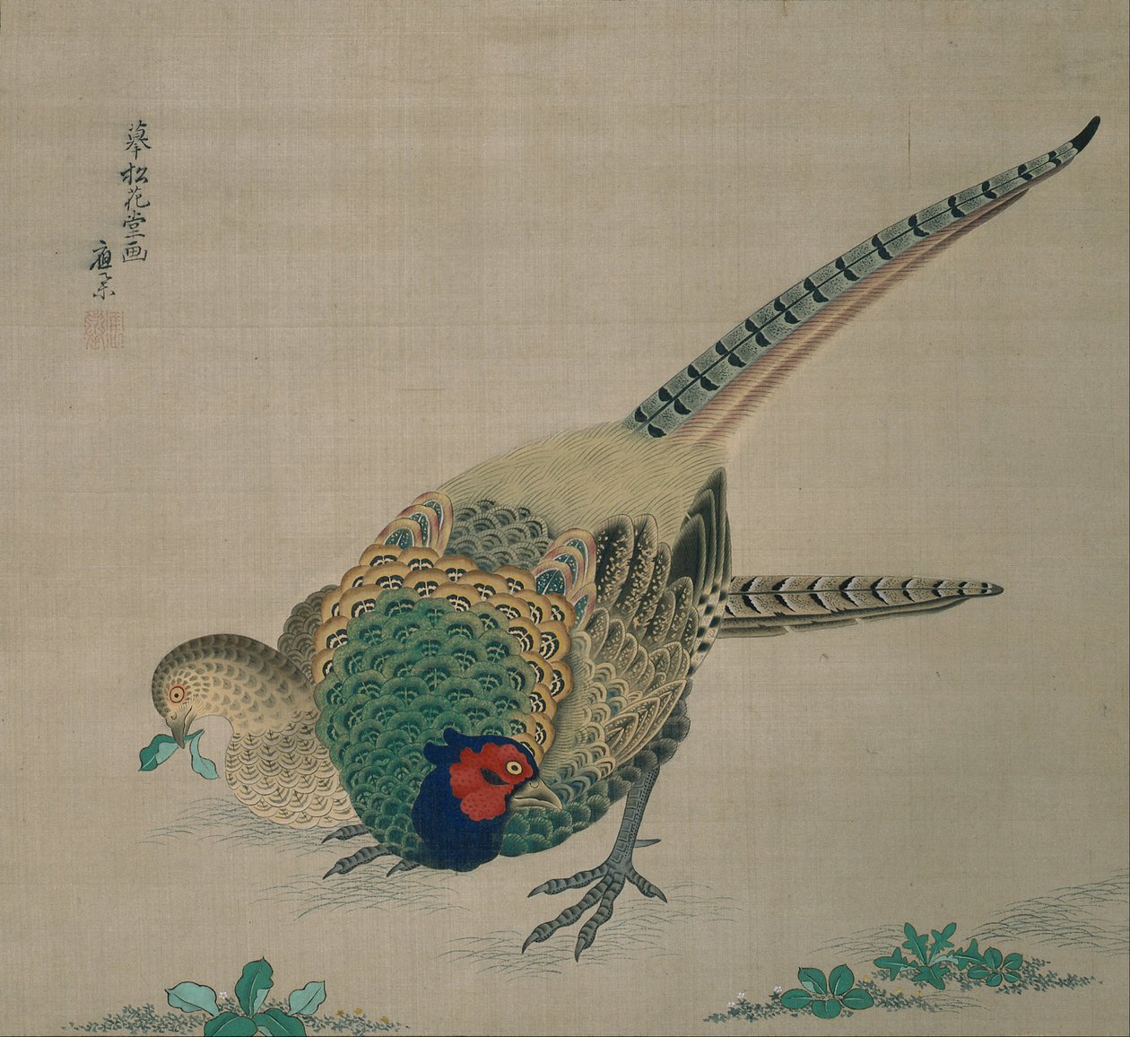 Hængende rulle (par fasaner) af Maruyama Okyo