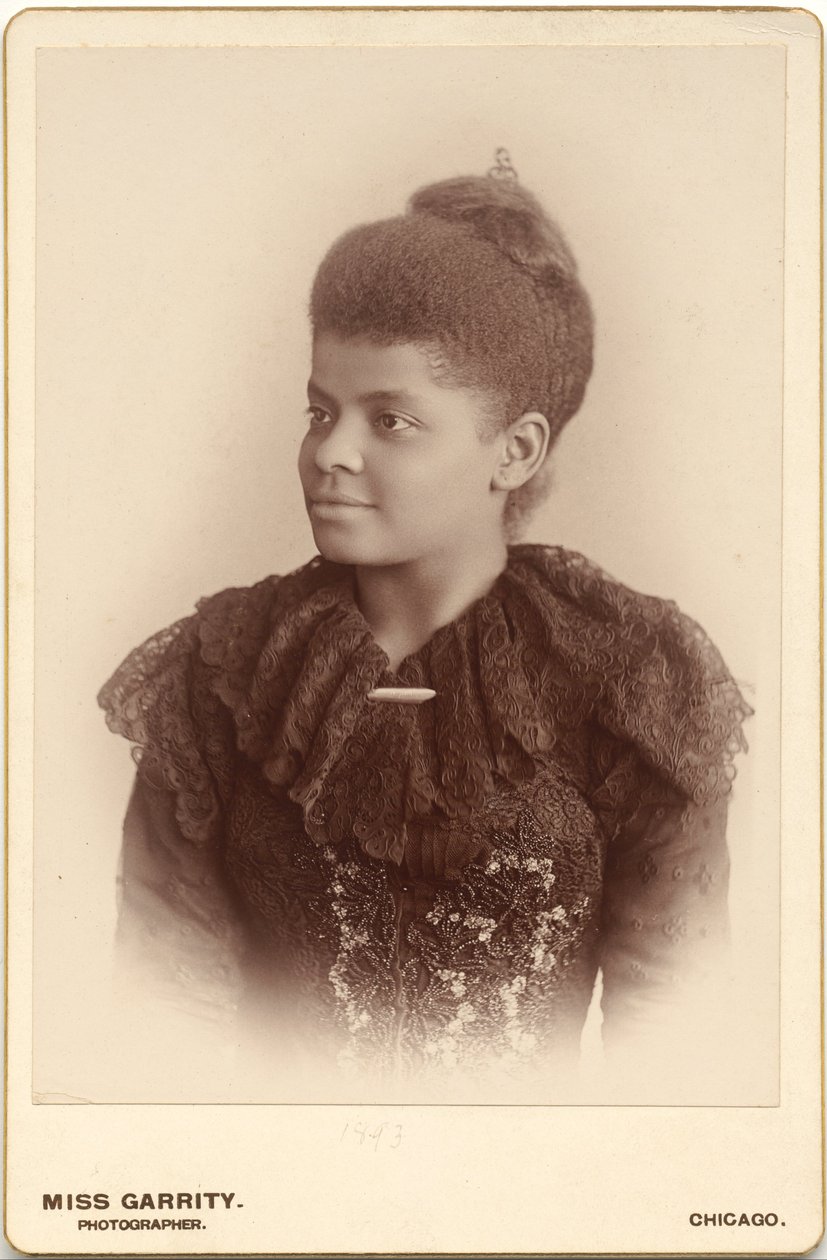 Ida B. Wells-Barnett af Mary Garrity