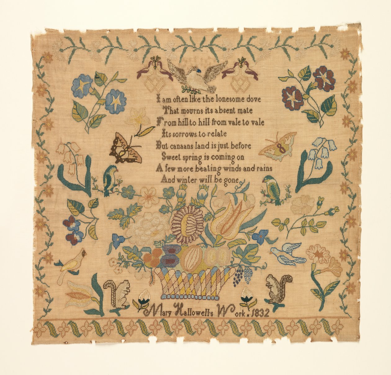 Prøvetager af Mary Hallowell