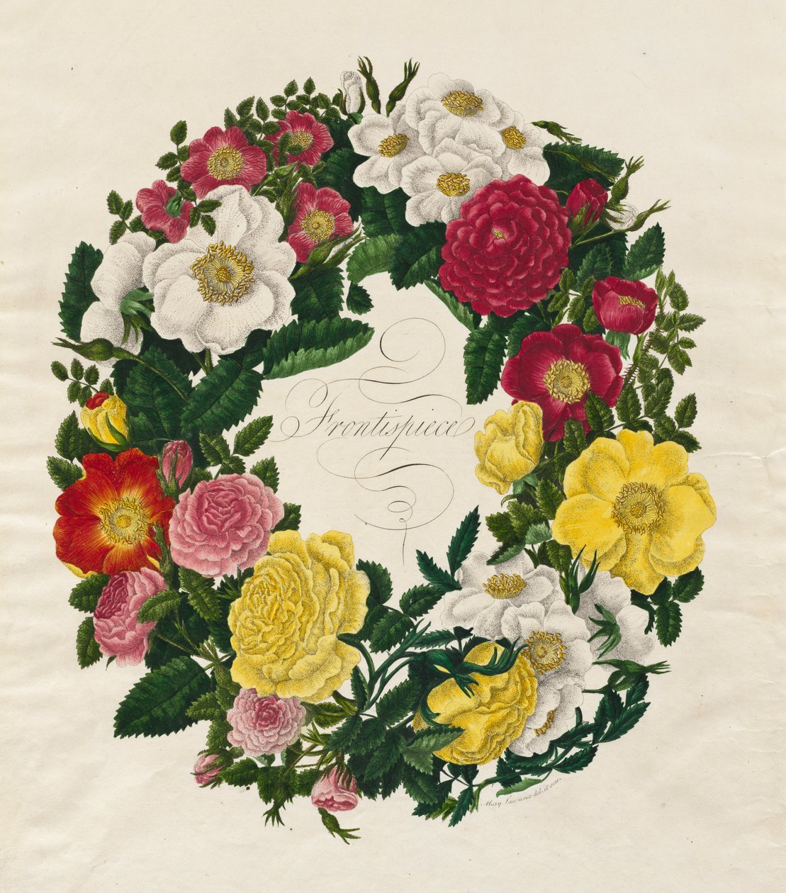 En krans af roser, 1799. af Mary Lawrence