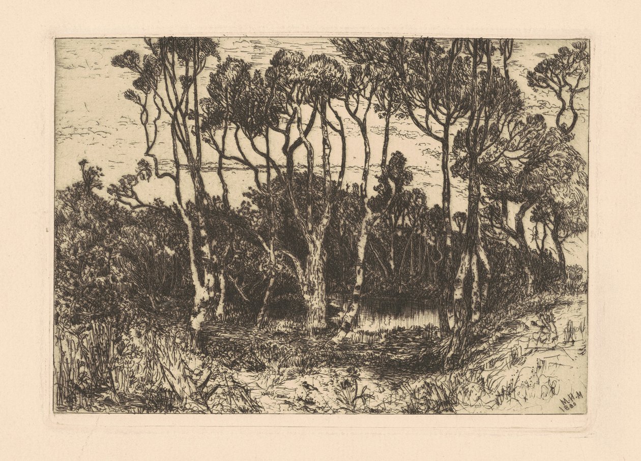 Ensomhed af Mary Nimmo Moran