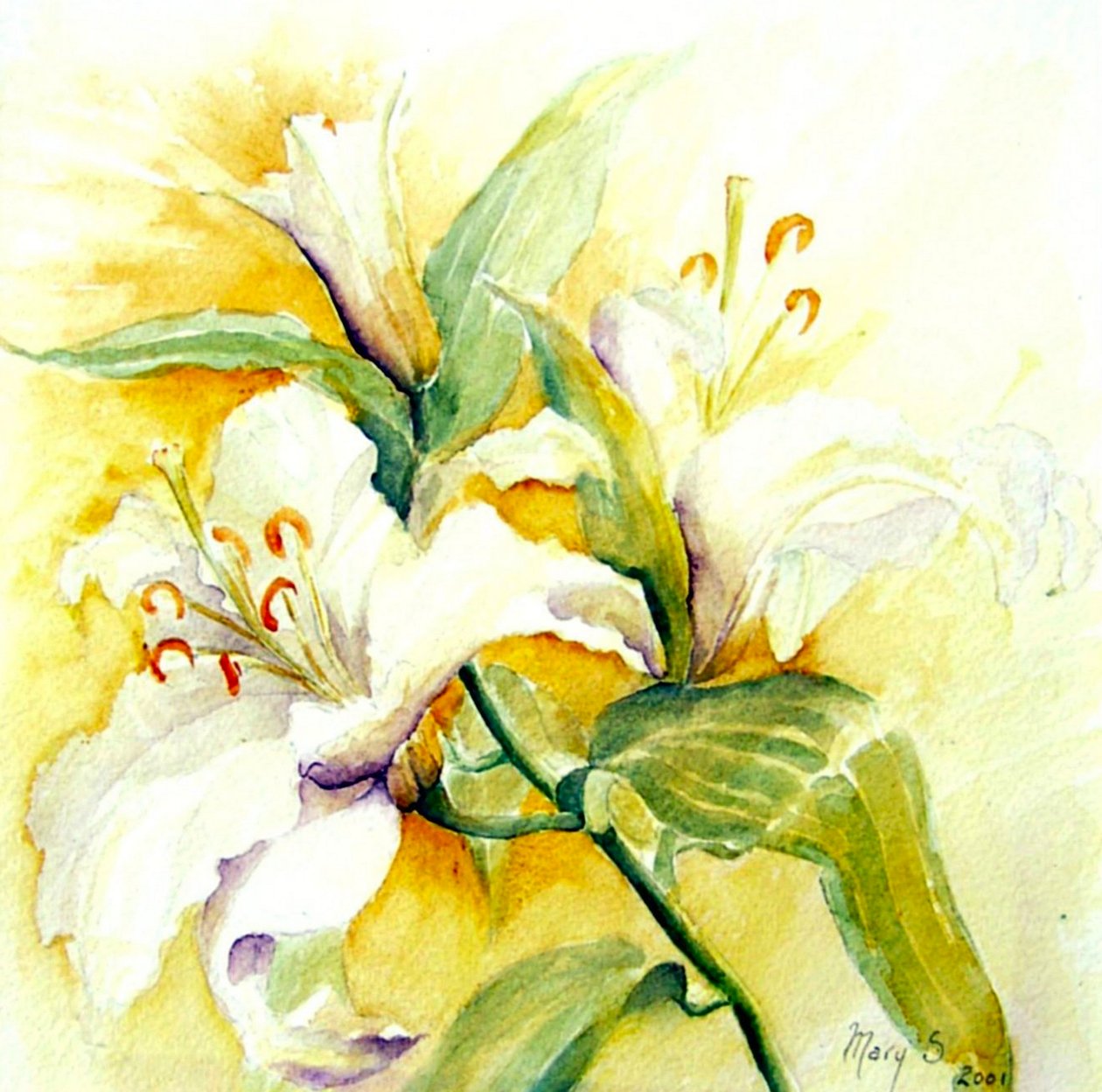 hvide liljer af Mary Smith