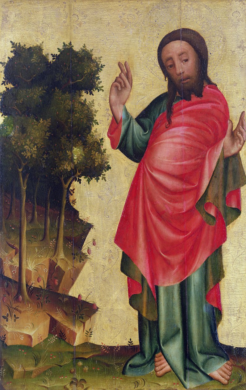 Skabelsen af tørt land og vegetation, detalje fra The Grabow Altarpiece, 1379-83 (tempera på panel) af Master Bertram of Minden