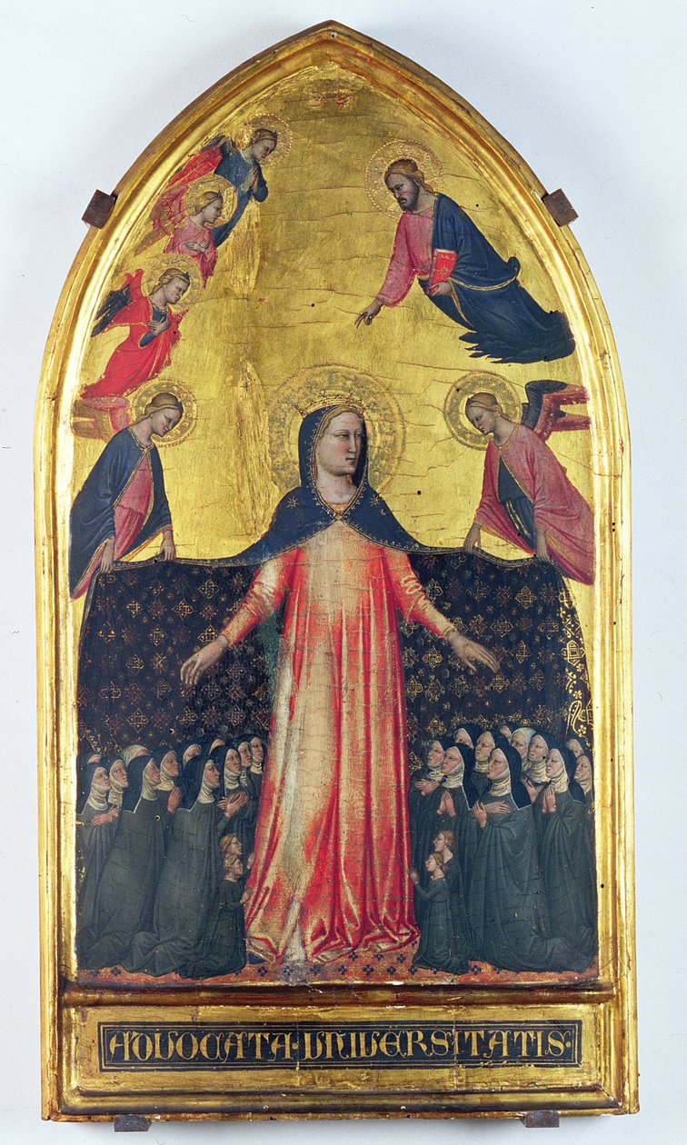 Madonna of Mercy (tempera på panel) af Master of the Accademia Madonna