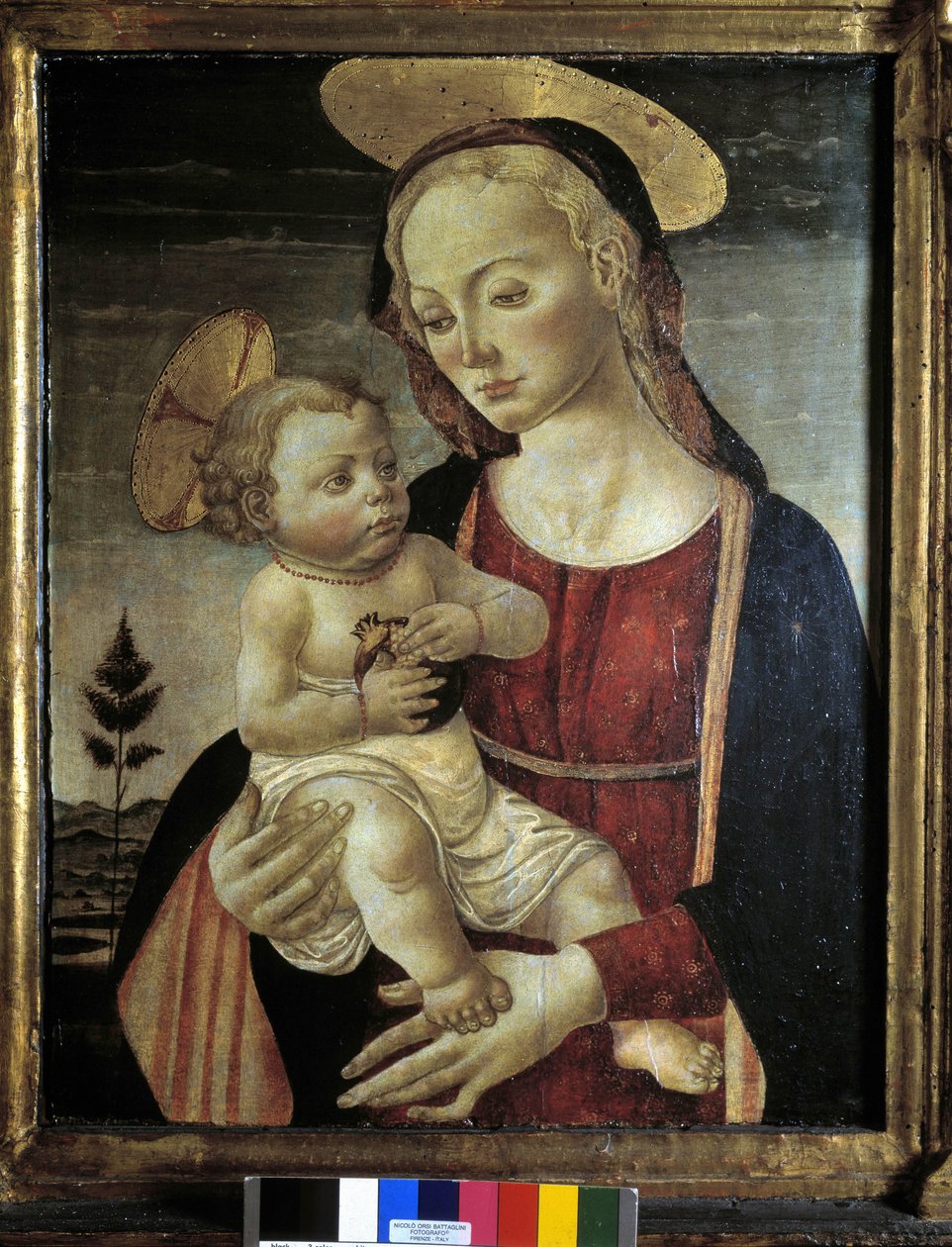 Ukendt billede af Master of San Miniato