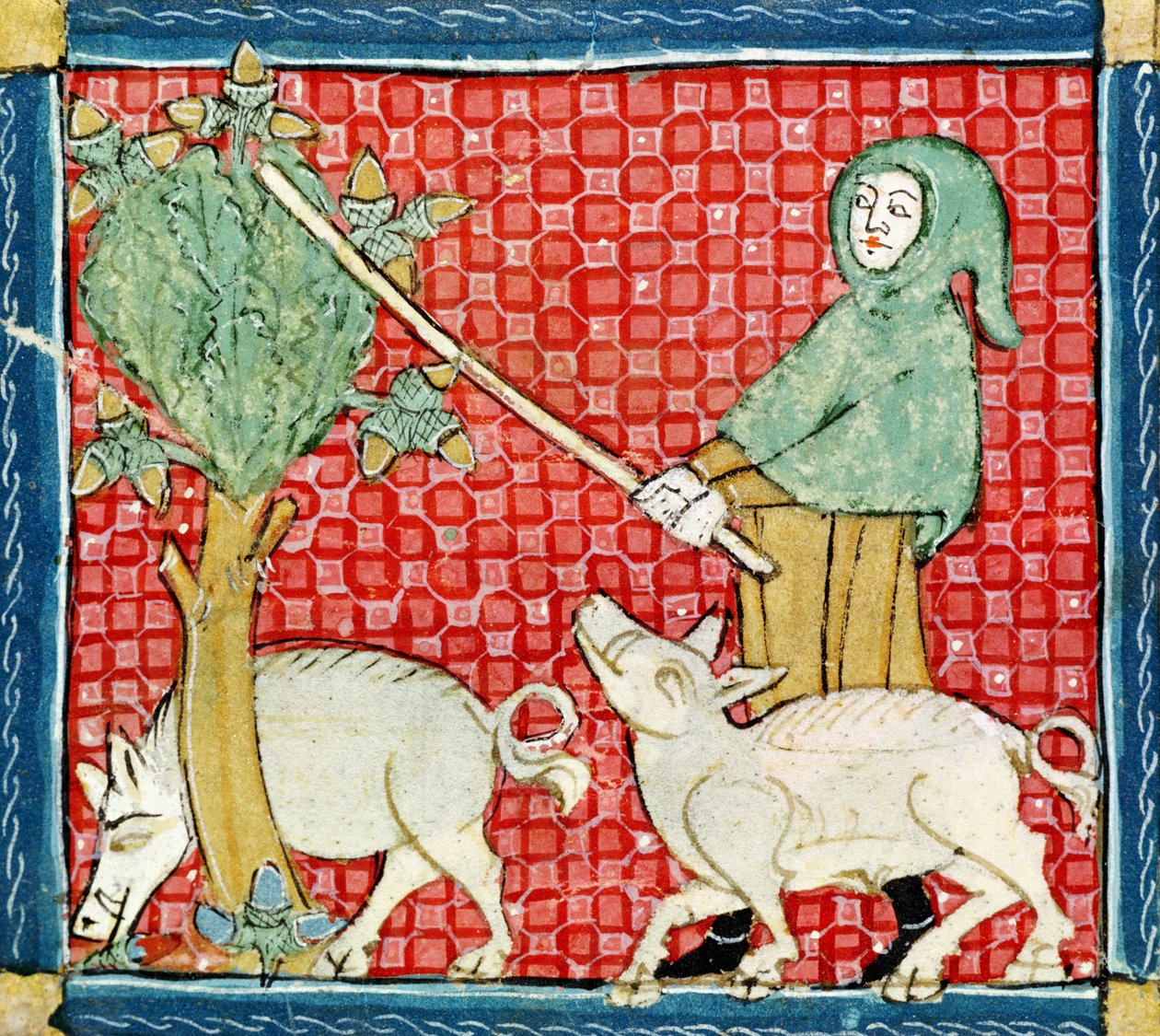 Fol.59v november: Samling af agern af Matfre Ermengaut