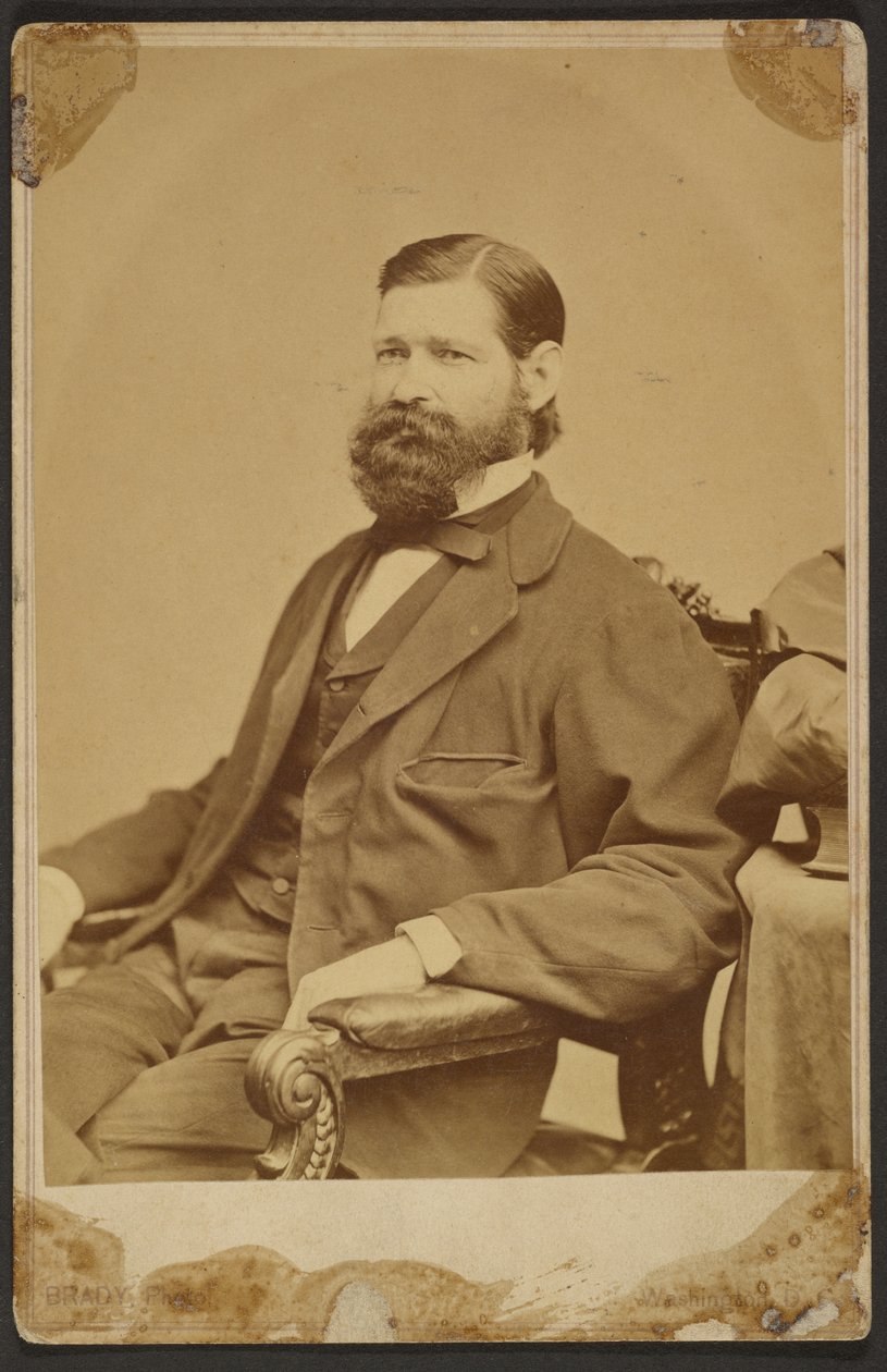 Thomas Davidson Jr. af Mathew B. Brady