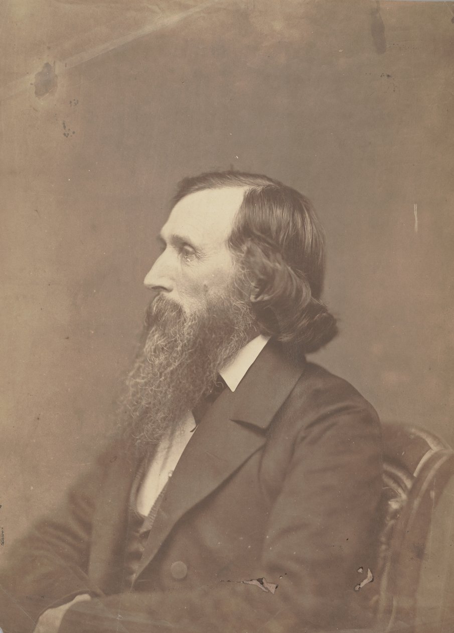 Ambrose Powell Hill, ca. 1858. af Mathew Brady