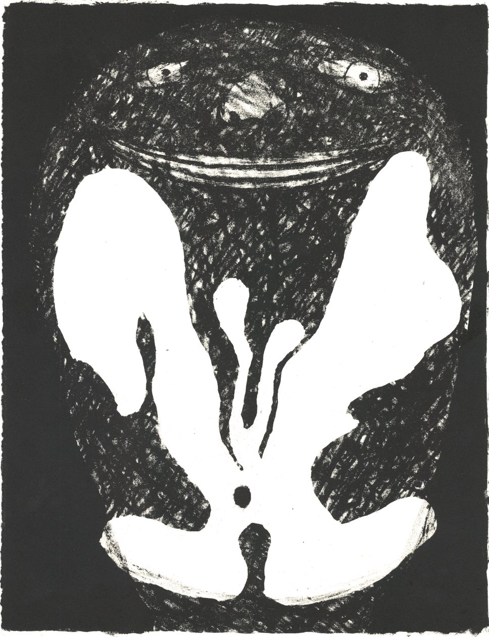 Des Bêtes" Kunstnerbog 1, 2018 (litografi) af Matthew Hilton