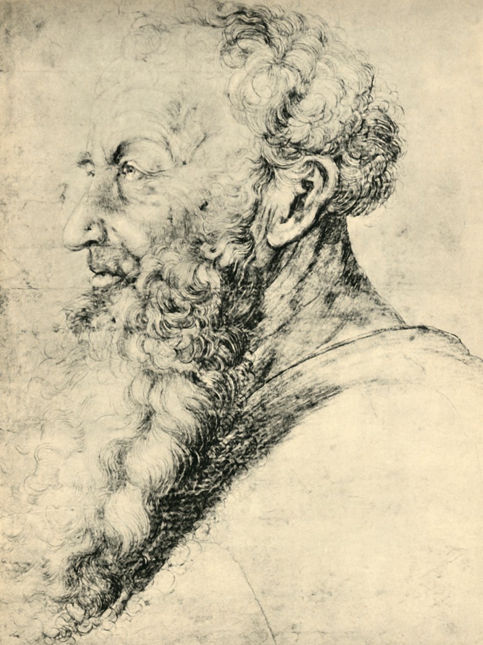 Portræt af Guido Guersi, 1513-1515, 1943. af Matthias Gruenewald